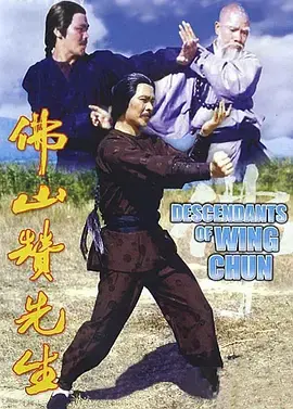 《佛山赞先生》全集高清完整版在线观看与剧情解析