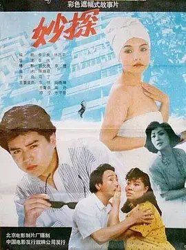 《妙探1991》全集高清完整版在线观看与剧情解析