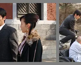 《宝藏寻踪》全集高清完整版在线观看与剧情解析