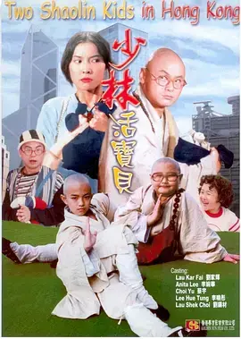 《少林活宝贝》全集高清完整版在线观看与剧情解析