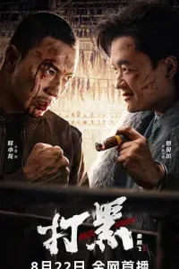 打黑[电影解说]