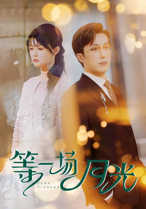 《等一场月光》全集高清完整版在线观看与剧情解析