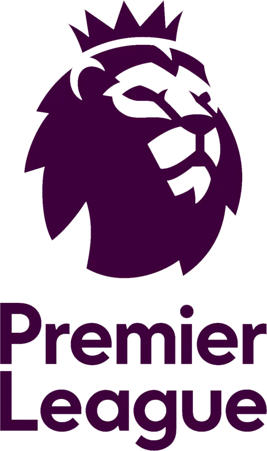 英超 布莱顿vs莱斯特城20250412