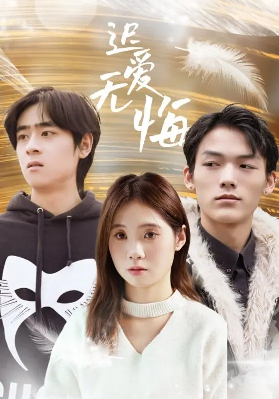 《迟爱无悔》全集高清完整版在线观看与剧情解析