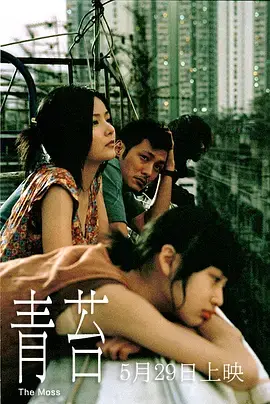 《青苔2008》全集高清完整版在线观看与剧情解析