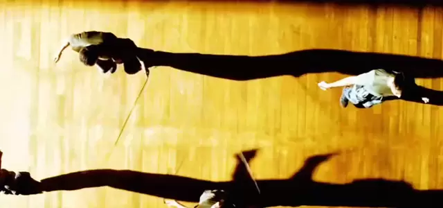 王一博三部待映影视作品并行：《长空之王》《人鱼》《刺客》题材跨度显著：现场图