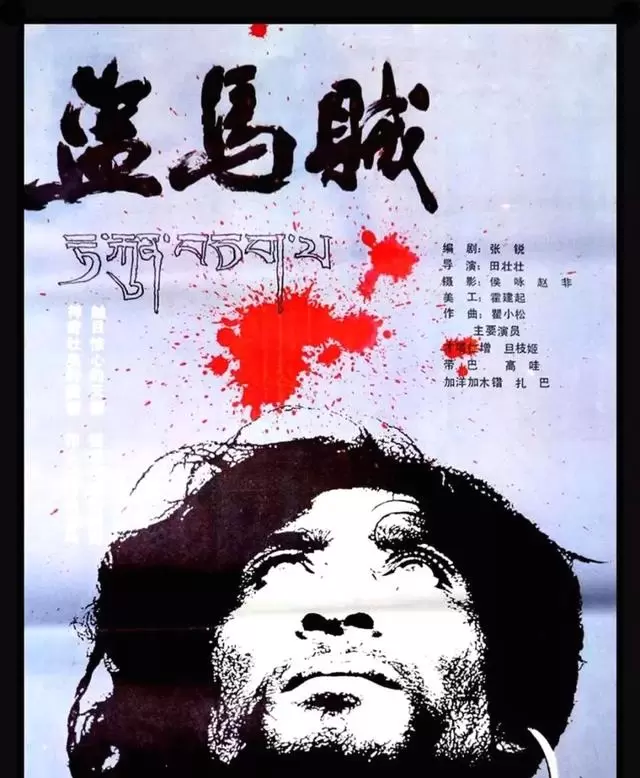 舒琪执导新片《纸皮婆婆》筹备遇资金中断，惠英红确认出演：细节速览